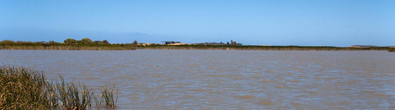 Coorong Island Retreat - Farm Stay At Pet Friendly Property Meningie Esterno foto