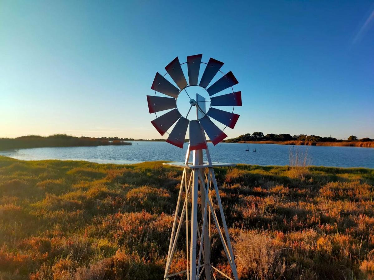 Coorong Island Retreat - Farm Stay At Pet Friendly Property Meningie Esterno foto
