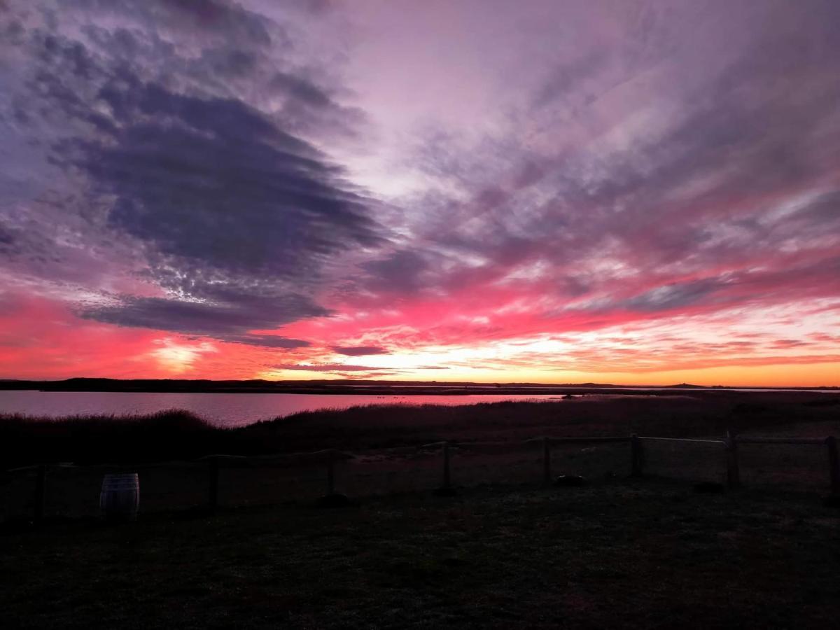 Coorong Island Retreat - Farm Stay At Pet Friendly Property Meningie Esterno foto