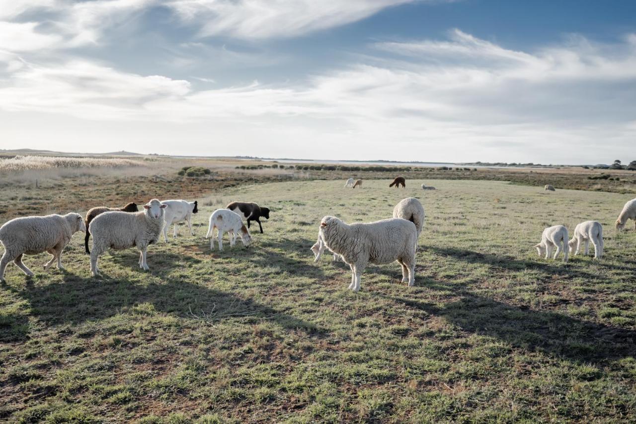 Coorong Island Retreat - Farm Stay At Pet Friendly Property Meningie Esterno foto