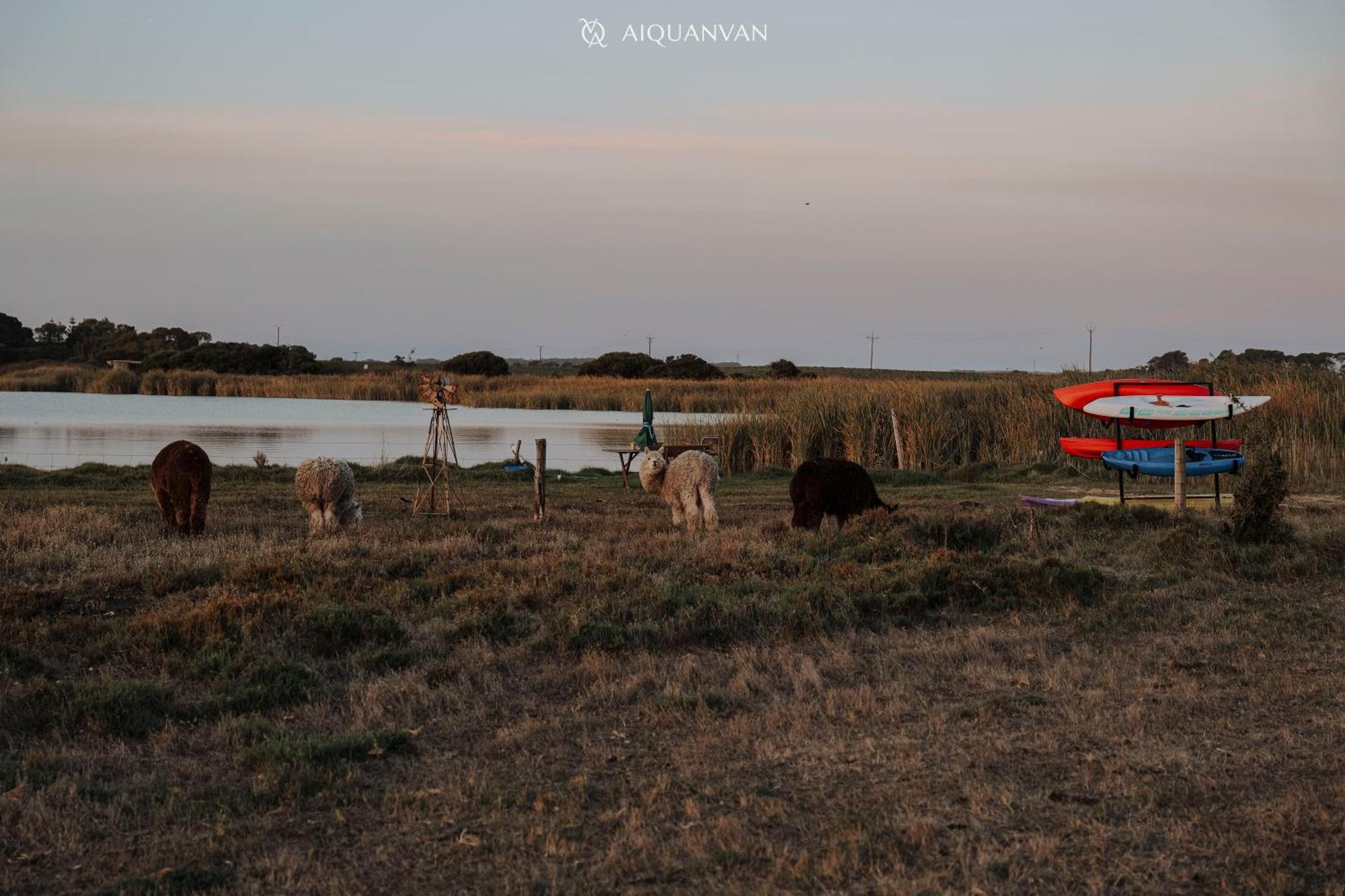 Coorong Island Retreat - Farm Stay At Pet Friendly Property Meningie Esterno foto